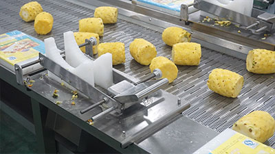 Pineapple Processing Lines in Action: 5 Factory Cases — Mini Pineapple, Fan Slices, Rings