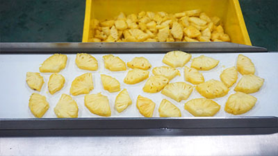 Pineapple Processing Lines in Action: 5 Factory Cases — Mini Pineapple, Fan Slices, Rings