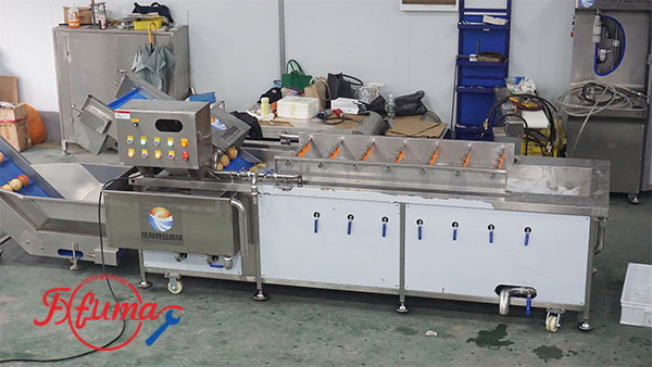 Pomegranate Processing Line 0.5-2T/H for Fruit Factory