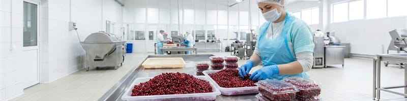 Pomegranate Processing Line 0.5-2T/H for Fruit Factory