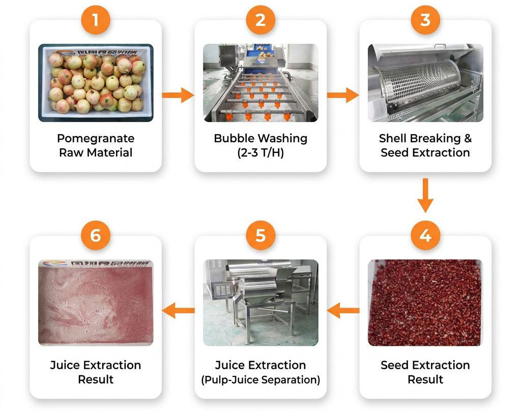 Pomegranate Processing Line 0.5-2T/H for Fruit Factory