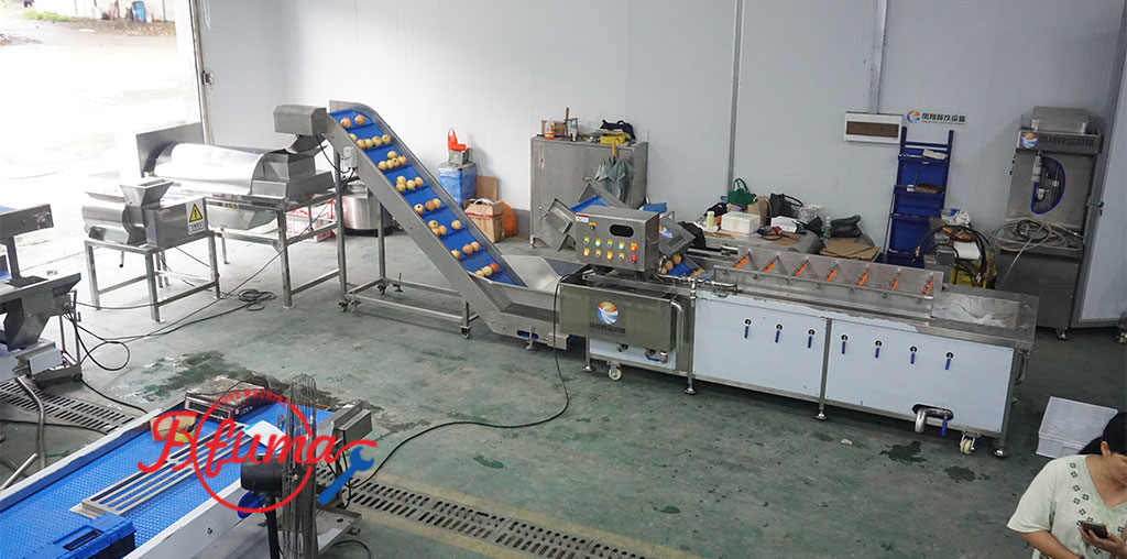 Pomegranate Processing Line 0.5-2T/H for Fruit Factory
