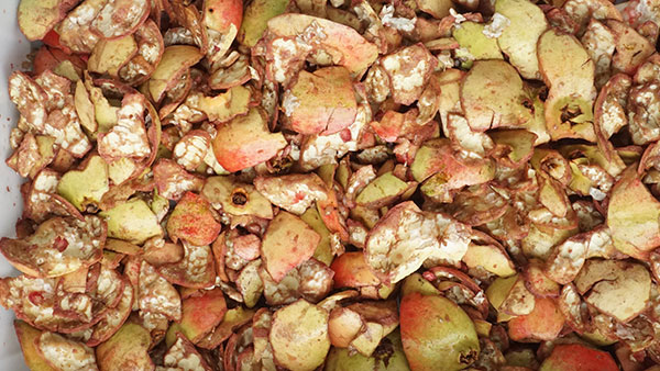 Pomegranate Processing Line 0.5-2T/H for Fruit Factory