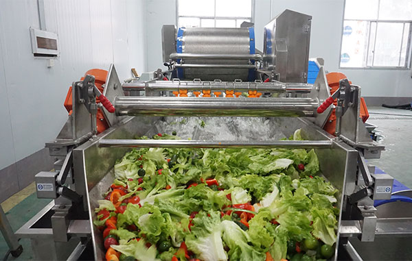 Ready-to-Cook Vegetable Processing Line 1-3 T/H