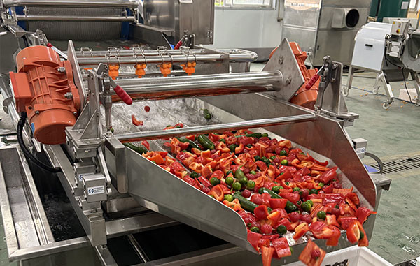 Ready-to-Cook Vegetable Processing Line 1-3 T/H