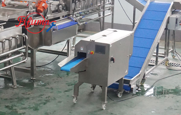 Ready-to-Cook Vegetable Processing Line 1-3 T/H