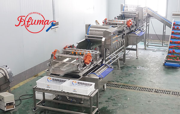 Ready-to-Cook Vegetable Processing Line 1-3 T/H