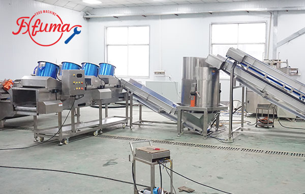 Ready-to-Cook Vegetable Processing Line 1-3 T/H