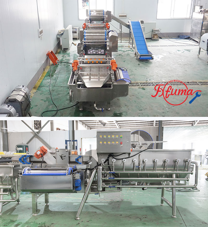 Ready-to-Cook Vegetable Processing Line 1-3 T/H
