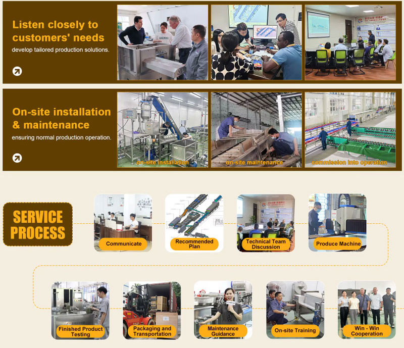 Ready-to-Cook Vegetable Processing Line 1-3 T/H