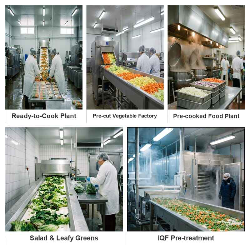 Ready-to-Cook Vegetable Processing Line 1-3 T/H