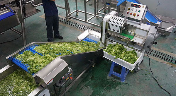Ready-to-Eat Fresh Vegetable Process Line 800–1500kg/h