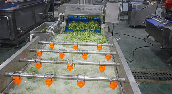 Ready-to-Eat Fresh Vegetable Process Line 800–1500kg/h