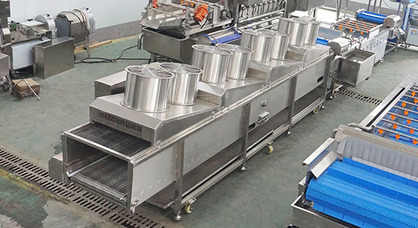 Ready-to-Eat Fresh Vegetable Process Line 800–1500kg/h