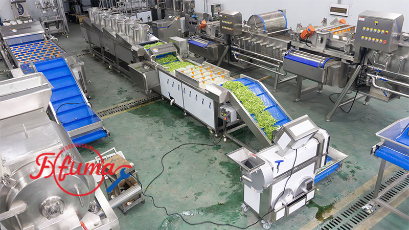 Ready-to-Eat Fresh Vegetable Process Line 800–1500kg/h