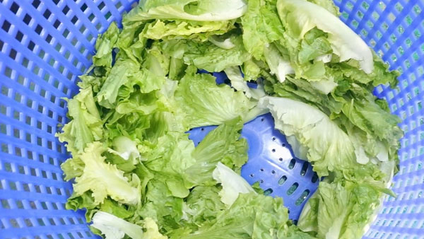 Spring Mix Washing