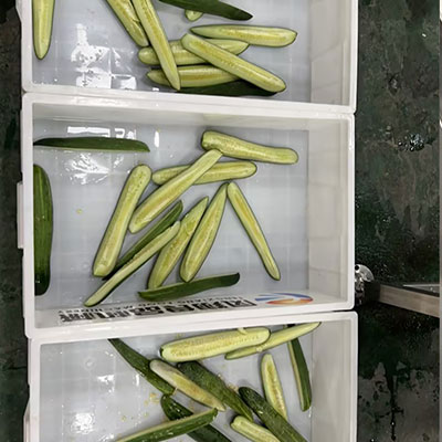 Eggplant Cucumber Lengthwise Halving