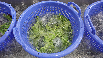 Ultrasonic Fruit Vegetable Washing