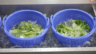 Ultrasonic Fruit Vegetable Washing