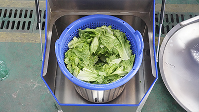 Ultrasonic Fruit Vegetable Washing