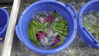 Ultrasonic Fruit Vegetable Washing