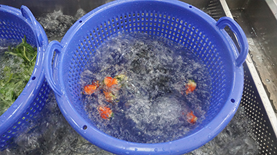 Ultrasonic Fruit Vegetable Washing