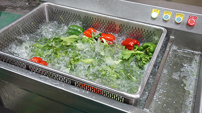 Ultrasonic Fruit Vegetable Washing