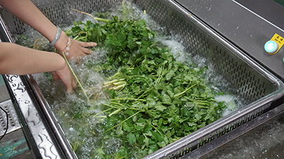Ultrasonic Fruit Vegetable Washing